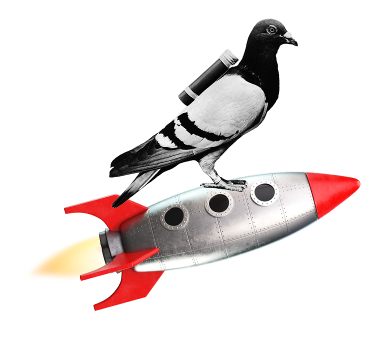 Rocket Pigeon